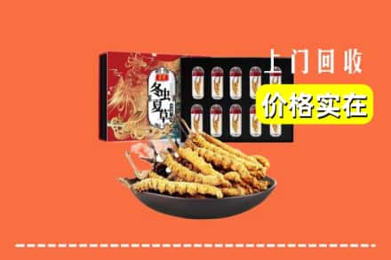 泉州市回收冬虫夏草